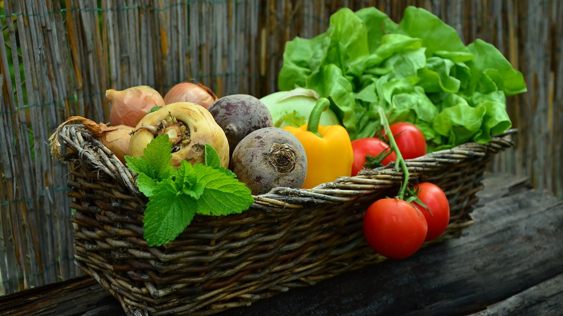 Comment bien choisir son fournisseur de légumes ?